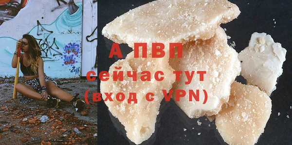 дурь Бородино