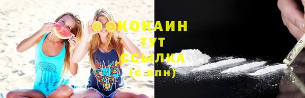 дурь Бородино