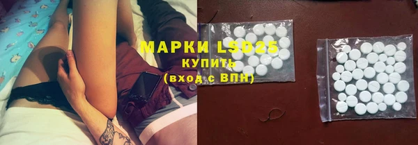 шишки Богородицк