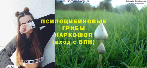 герыч Бронницы