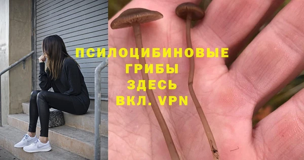 прущие грибы Верхнеуральск