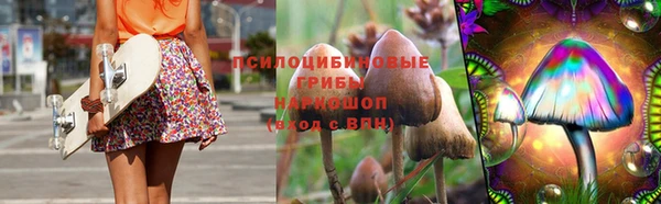 spice Верея